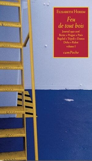 Feu de tout bois (Volume I)